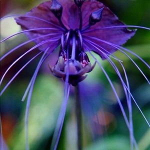 Meet your Posher, Fredeane